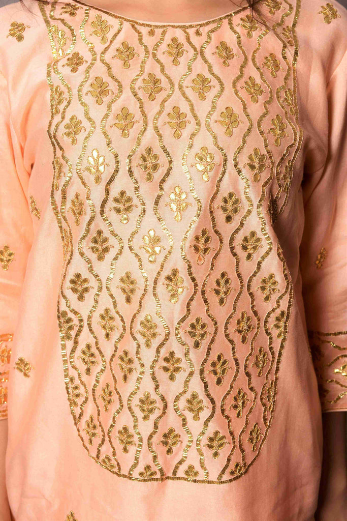 Gota Patti Embroidery  AAS Couture